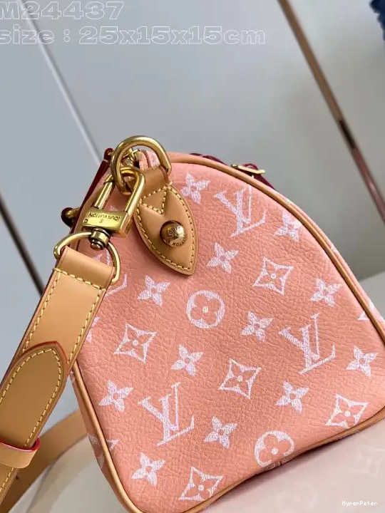 SPEEDY Louis Vuitton 25 0706